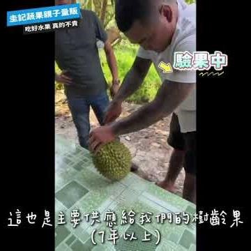 2026圭記連線越南頂級赤皇干堯榴槤