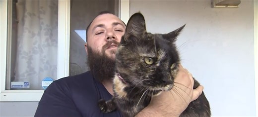 Mail carrier caught on camera pepper-spraying Rancho Cordova resident's cat