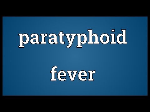 Paratyphoid fever Meaning