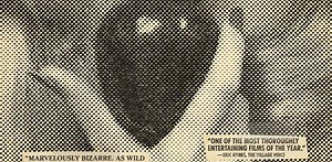 The Fine Art of the Edit