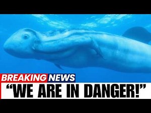 Scientists Are Terrified of What They Found in the Deep Ocean