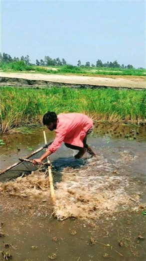 The Ultimate Big Fish Catch Challenge: Traditional Net Fishing at Its Finest