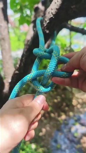 Learn the Best Clothesline Knot Technique