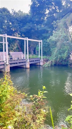 Magical Water Technology at Udawalawe, Sri Lanka 🌿❄️ #nature #srilanka #beauty #freedom #traval