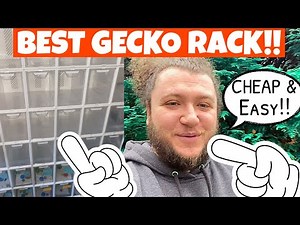 BEST CRESTED GECKO BREEDING RACK & SETUP!!
