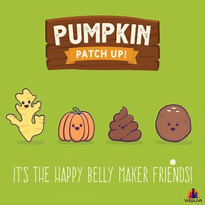 A great source of healthy fiber and anti-inflammatories to help support your cat or dog's digestive system. | PetSmart