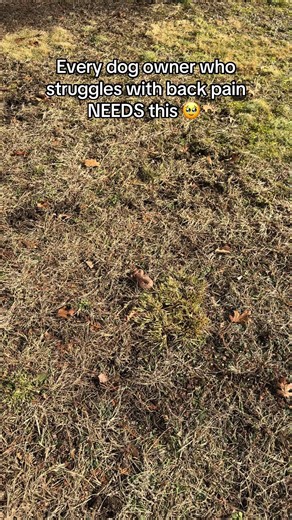 Revolutionary Tool for Picking Up After Your Dog