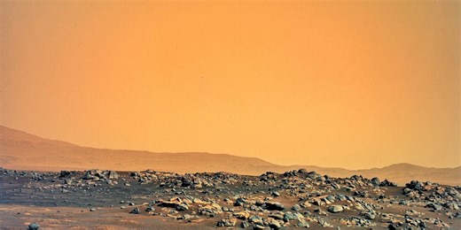 Scientists are convinced that life has already been found on Mars