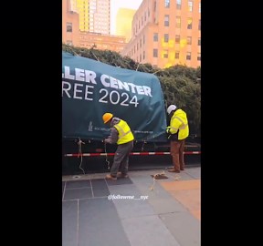 US: Rockefeller Center 2024 Christmas Tree Arrives In New York City 3