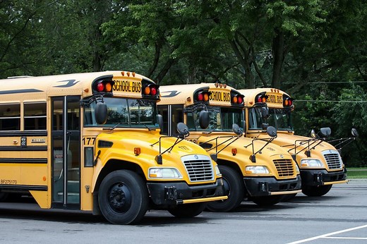 Why Don’t School Buses Have Seat Belts? The Reason Might Surprise You