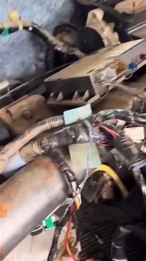 15K views · 21K reactions |  A veces el problema no es tan grave...