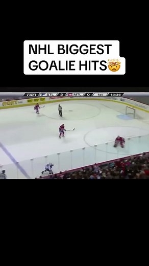 Biggest Goalie Hits in the NHL