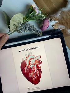 Medat Success Planner | Medat Study Planner PDF | Study Planner | Digital Learning Organization | Medical School Entrance Exam - Etsy UK