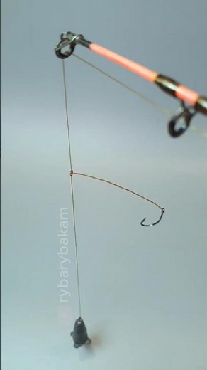 Best & Easiest Fishing Rig! 🎣 #shorts #fishing #diy
