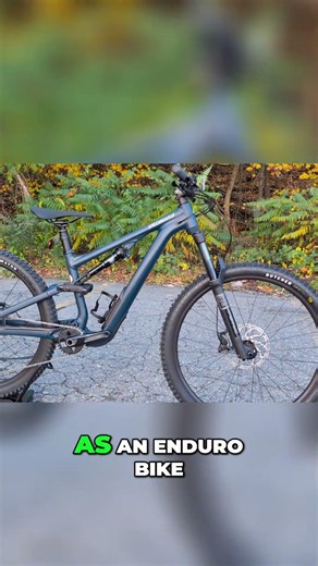 2024 Stumpjumper Review: What's Missing? Epic Deal! #shorts
