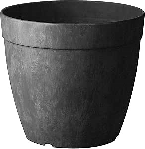 Root & Vessel Dolce Round Planter, Black, 10"
