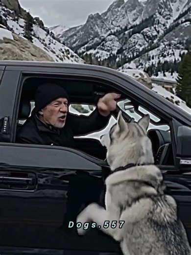 Ai generated Dogs video saved united state top trending video 📷 #FYP #TRINDING #dogsvideo #unfreezemyacount #500kviews🙏