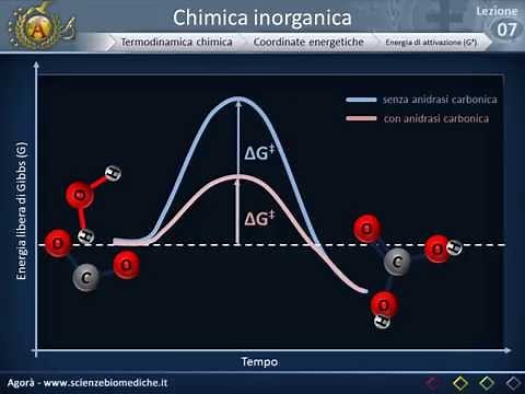 Termodinamica chimica