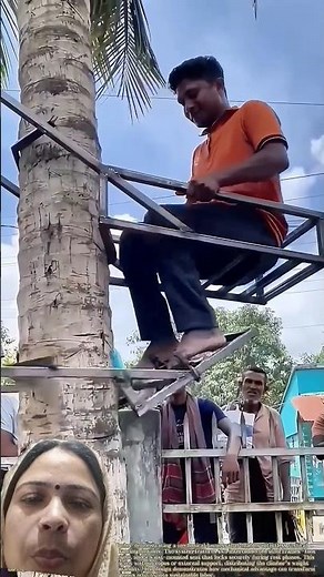 tree Ascension: How a simple harness revolutionizes vertical harvesting