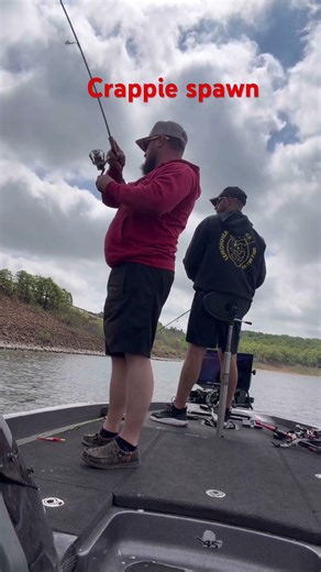 Oklahoma crappie spawn #crappiefishing #crappiefishing #bassfishing #fishing