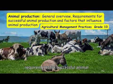 Agricultural Management Practices Animal production General overview, Requirements for successful