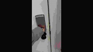 The singing freezer: A real-life side quest?