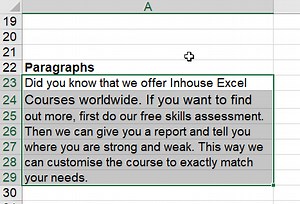 Fitting text inside a cell • Online-Excel-Training.AuditExcel.co.za