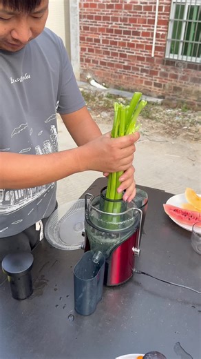 Additive-free green beverage manufacturing machine