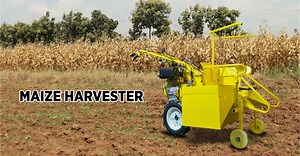 Maize harvester KK-MCH-01D is one-line self-moved maize gathering machine. It helps in get-together maize crop easily without hurting the yields. This Machine encourages the farmers to save time and work cost. Additionally, it is an exceptionally helpful machine for gathering corns. visit: https://www.kisankraft.com/kk-mch-01/ #MaizeHarvester #HarvestingMachine #Maize #SelfPropelledHarvester #Agriculture | KisanKraft