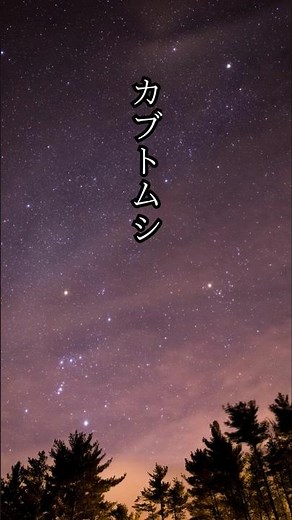 【心の処方箋】aiko / カブトムシ 歌詞動画 #歌詞動画 #aiko #Shorts