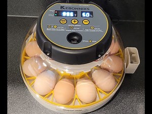 Incubating Chicken Eggs! Step-by-Step (Short version). Using the Kebonnixs Egg Incubator. April 2023