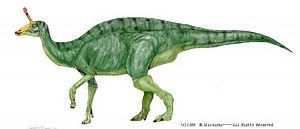 Tsintaosaurus - Alchetron, The Free Social Encyclopedia
