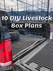 10 DIY Livestock Box Plans: How To Build A Livestock Box