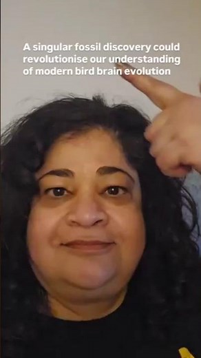 This fossil could revolutionise our understanding of modern bird brain evolution