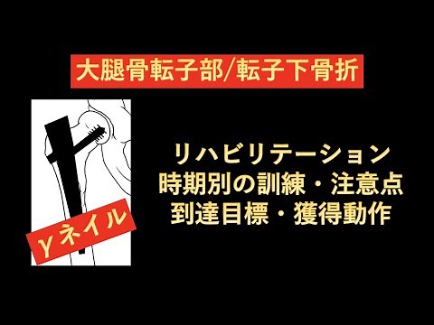 大腿骨転子部/転子下骨折の手術(γネイル)のリハビリテーション-時期別リハビリ内容と目標とする獲得動作の目安-