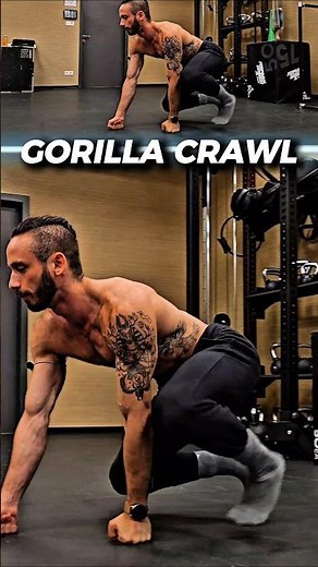 🔥 10 MOST GOATED Primal Movement Patterns #animalmoments #mobility #primalmovement #animalworkout