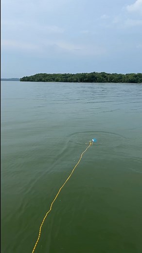 13K views · 36 reactions | She caught a hot one! 藍 part 3 | Donald Jenkins | Facebook