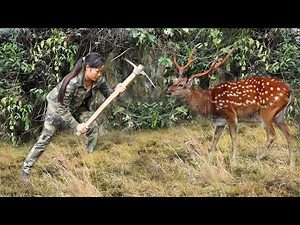 Plan to Trap Wild boar, Wild Deer - Grim Survival/ Full video