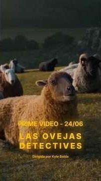 I recommend these streaming movies! 😎