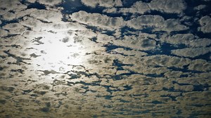 Alexandre Duclos, "M. Mauss et les techniques du corps", 2016