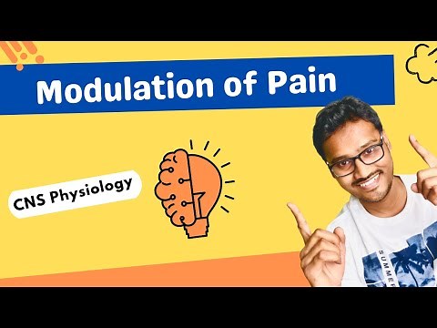 Modulation of pain - CNS physiology