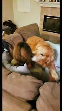 Dog Attacks With Kisses | Oshies World