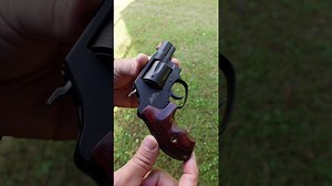 .22 Magnum Carry Revolver - S&W 351 PD - The Reloaders Network