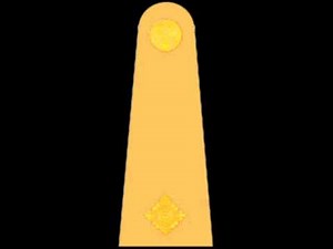 Army Cadet Force: Adult instructor ranks