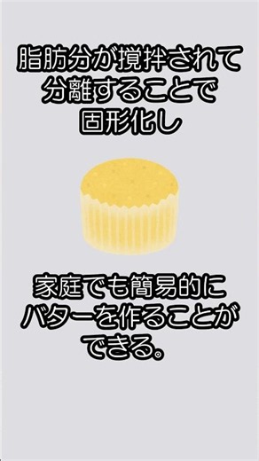 牛乳を振り続けるとバターになる #雑学 #プチ知識