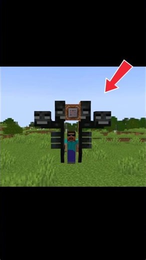 command block....||☠️ #minecraft #youtubeshort