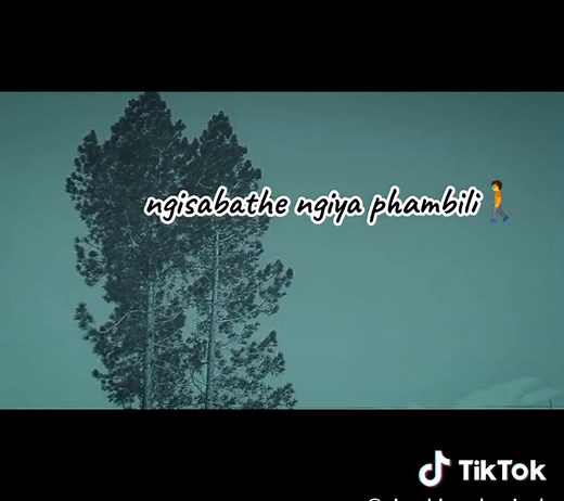 Imfezi Emnyama - Impilo Yami | Zenzile Imfezi Emnyama | Songs & Lyrics