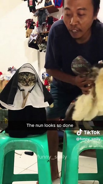 Funny Cats Playing Football: Hilarious Pet Moments