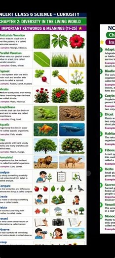 NCERT Class 6 Science New Book Explained Easily#Class6Science#NCERT
