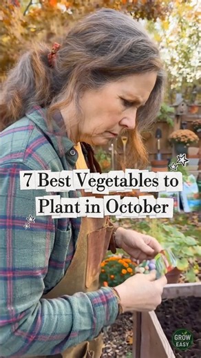 7 Best Vegetables to Plant This Fall 🍂